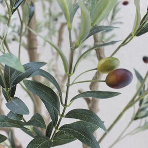 May include: An artificial olive tree branch featuring slender, dark green leaves with visible veins and a textured, light brown stem. The branch includes small, round olives in varying shades of light green and dark purple, attached to thin green stems.