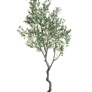 Puede incluir: Olivo artificial en maceta negra. El &aacute;rbol tiene hojas verdes y peque&ntilde;os frutos negros parecidos a aceitunas. El tronco es de color marr&oacute;n claro y tiene forma retorcida. El &aacute;rbol est&aacute; sobre un fondo blanco.
