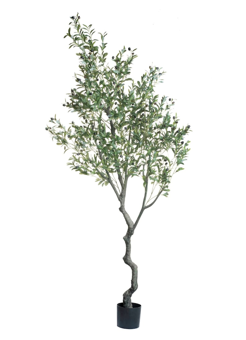 Puede incluir: Olivo artificial en maceta negra. El &aacute;rbol tiene hojas verdes y peque&ntilde;os frutos negros parecidos a aceitunas. El tronco es de color marr&oacute;n claro y tiene forma retorcida. El &aacute;rbol est&aacute; sobre un fondo blanco.