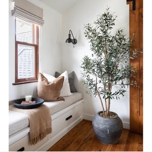 Peut inclure: Un banc de fenêtre avec une couverture en fourrure brune et des coussins. Un olivier en pot se trouve dans le coin de la pièce.