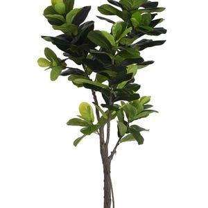 May include: Artificial fiddle leaf fig tree with dark green leaves and a brown trunk. The tree is potted in a black plastic pot. The leaves have a slight variation in color, with some being lighter green.