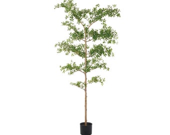 Faux Black Olive Tree, Shady Lady Tree, Black Olive Tree, Olive Tree