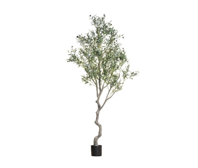 Puede incluir: Un olivo artificial con un tronco delgado y retorcido y un exuberante follaje verde. El &aacute;rbol presenta peque&ntilde;os acentos oscuros en forma de aceituna y est&aacute; plantado en un sencillo recipiente negro. El &aacute;rbol es un objeto decorativo.