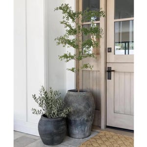 May include: Two potted plants, one tall and one short, stand in front of a wooden door. The tall plant is in a gray ceramic pot and the short plant is in a black ceramic pot. The door is white with a brown door handle.