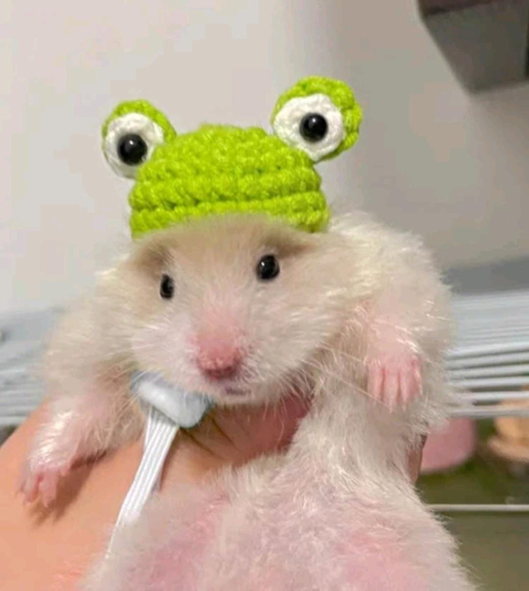 Kawaii Hamster Hats Small Pet Accessories Pet Knitted Crochet Frog