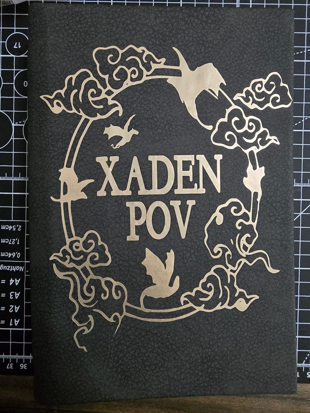 Xaden POV Fourth Wing - Etsy
