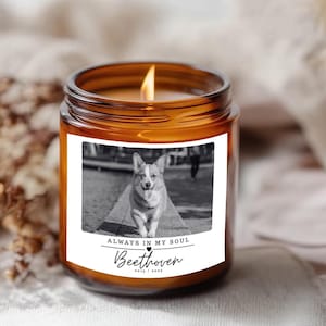 Personalized Pet Memorial Candle with Photo – Custom In Loving Memory Pet Loss Gift – Sympathy Candle for Dog or Cat