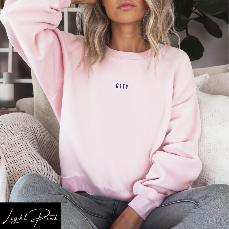 May include: A light pink sweatshirt with the word "CITY" embroidered in purple on the front.