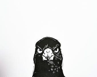 Magpie