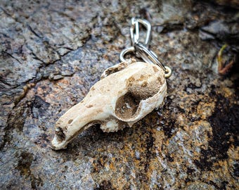 Roo skull keyring