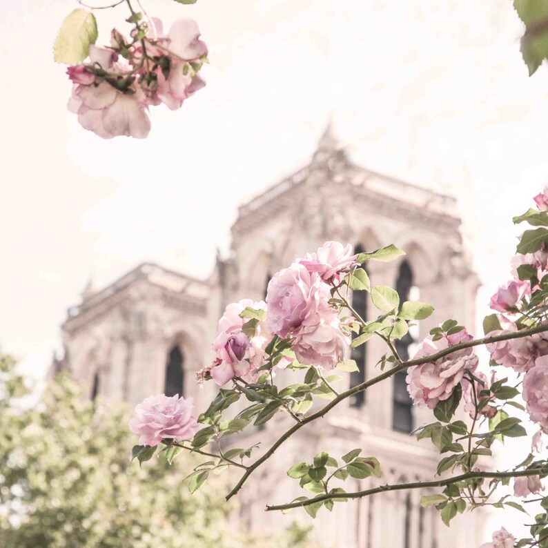 Paris Printable Set of Four Photographs in Pink Tones Paris - Etsy