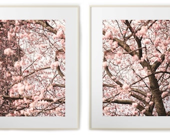 Set of two printable cherry blossom tree photographs - Instant download prints