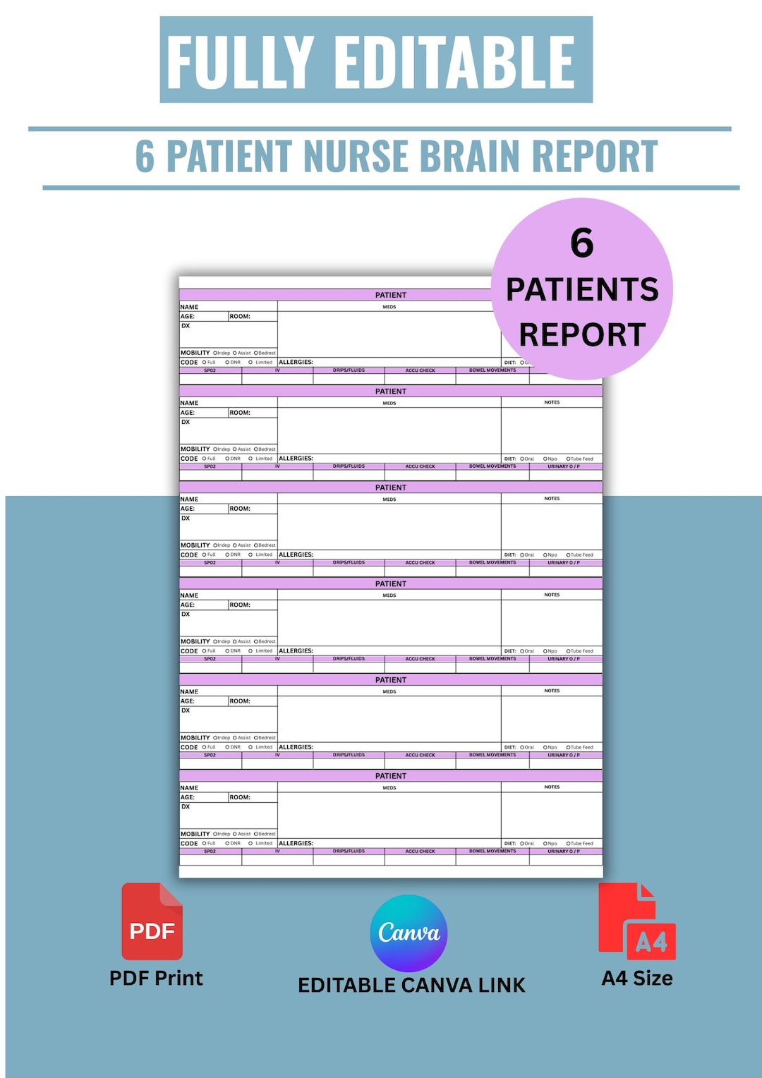 6 Patient Nurse Brain Sheet | Editable Canva Template (A4 PDF) - Etsy
