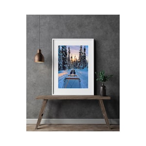 Dog Sledding Fairbanks Photography, Alaska Winter Scene, Arctic Adventure Print, Sled Dogs Wall Art