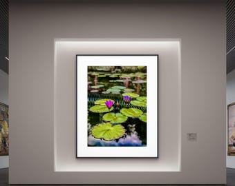 Purple Water Lilies Pond Photography Art Print: Zen Floral Decor