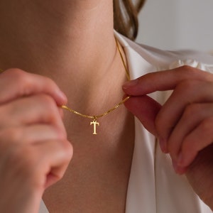 May include: A gold chain necklace with a small gold letter 'T' pendant.