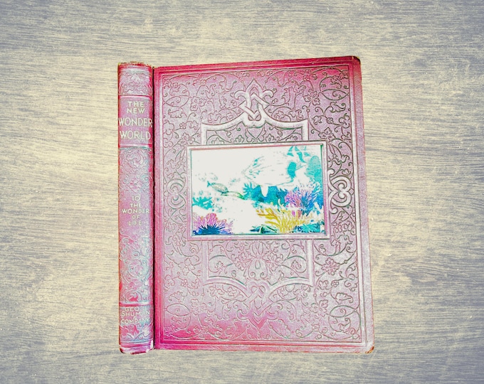 The Wonder of Life – 1952 Wonder World Vol X | Red Leather, Gold Embossed Vintage Science