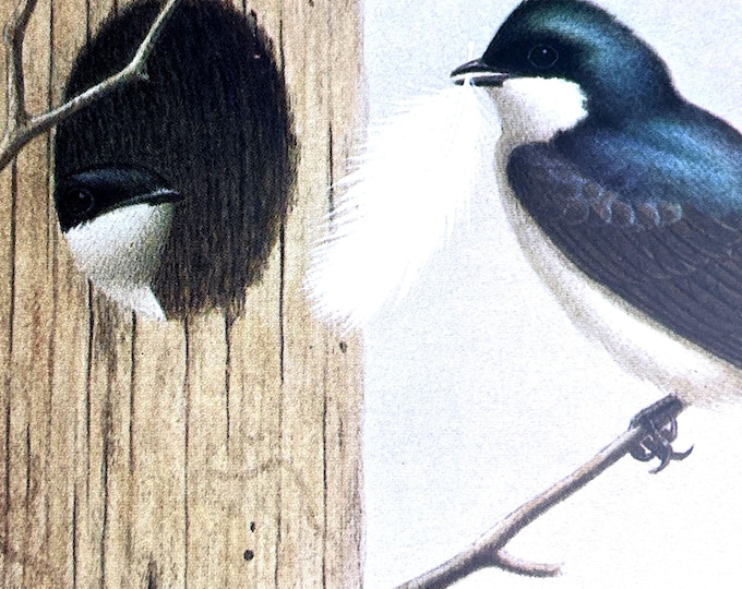 The Birds of Indiana (1984, Signed First Edition)