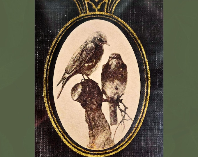 1923 Signed Western Birds | Female Ornithologist, Esoteric Letter Signed | Natural History, Gilt Cloth, 1st Edition