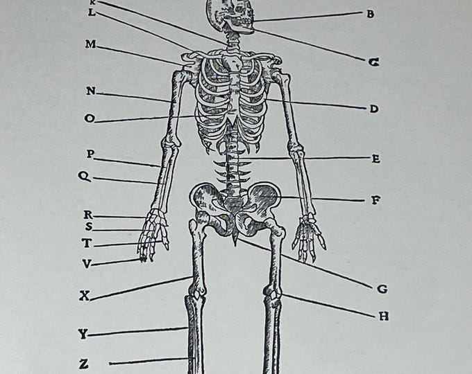 The Story of Biology by William A. Locy (1925, First Edition)