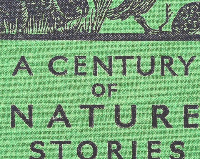 Vintage Nature Stories for Children, Illustrated and Charming!