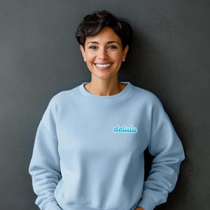 Delulu Embroidered Sweatshirt Funny Sweater Gift Unisex Gift For Her Gift For Him Funny Sweatshirt Crewneck Heavy Blend