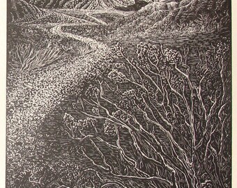 Original Wood Engraving Print Let River Answer Colorado River Desert Landscape