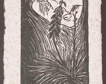 Original Woodcut Spanish Bayonet Yucca Mojave Desert Landscape Flora Cactus