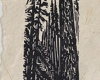 White Pine Tree Forest Small Original Woodcut from Alpine Mountain Trees