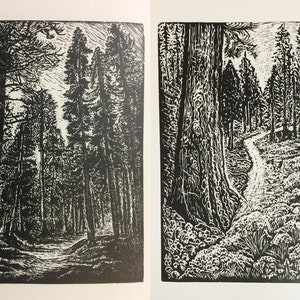 Matched Set Original Wood Engravings Two Pines Natures Peace hiking trails