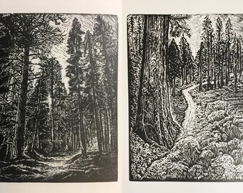 Matched Set Original Wood Engravings Two Pines Natures Peace hiking trails