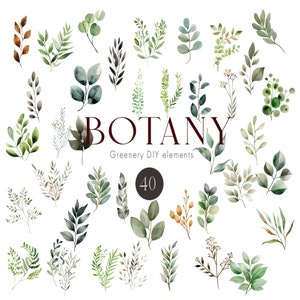 Watercolor Greenery Clipart, Greenery Foliage, Eucalyptus Clipart, Watercolor botanical clipart, Greenery Wedding, Greenery Elements, A6