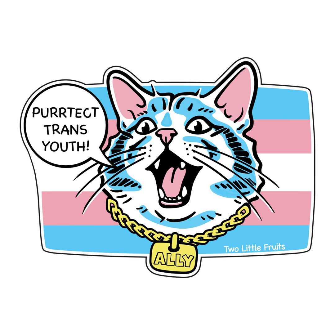 Trans Pride Cat Sticker | Waterproof Vinyl Decal, Ally Art (3"x3") - Etsy