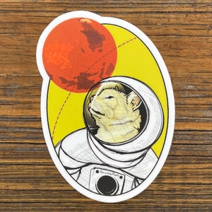 Curiosity Space Cat Sticker – Astronaut Cat Vinyl Decal for Laptops, Water Bottles & More