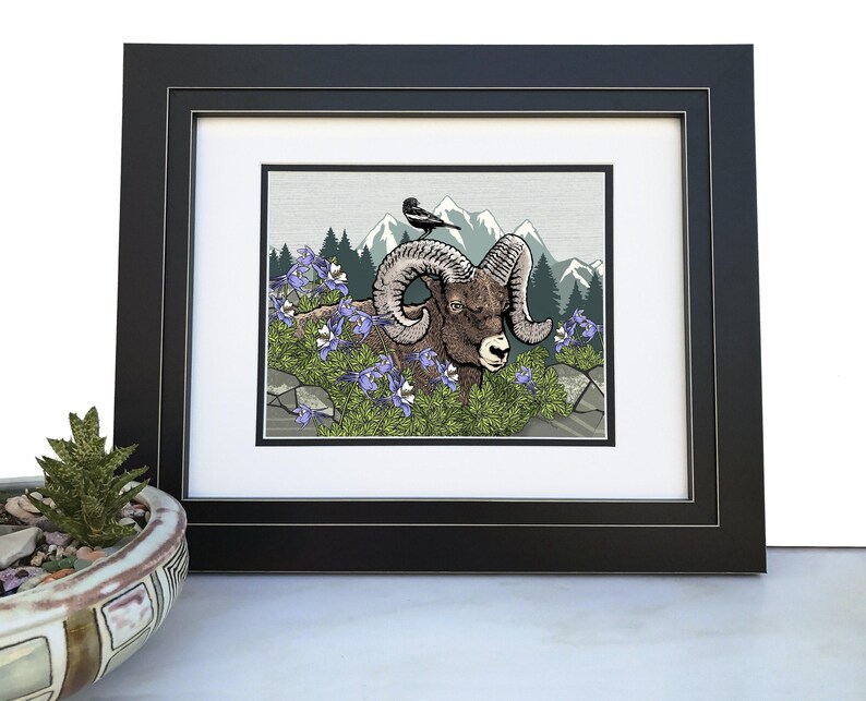 May include: A framed illustration of a bighorn sheep with large curled horns in a mountain landscape. The sheep is brown and white with a black nose. The sheep is surrounded by green foliage and purple flowers. A small black bird is perched on a rock behind the sheep. The background is a gray and green mountain scene.
