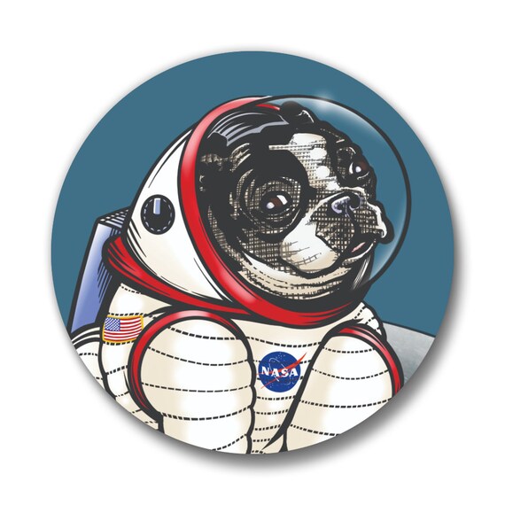 space dog backpack