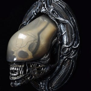 May include: A black and silver alien skull sculpture with a translucent dome revealing a detailed skeletal structure. The skull is mounted on a decorative, ornate frame.