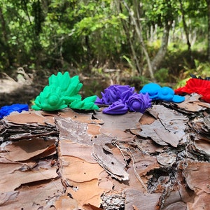 Colorful Turtles