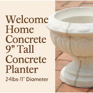 Solid Concrete Flower Pot