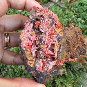 Könnte beinhalten: Ein Cluster aus leuchtend roten Kristallen, eingebettet in einen dunkelbraunen Stein. Die Kristalle sind spitz und zugespitzt und haben einen metallischen Glanz. Der Stein ist rau und strukturiert.