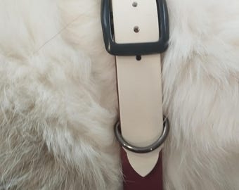 Equinox Biothane Collar