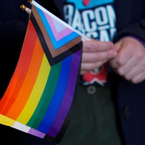 Pride Progress Flags (4-Pack)