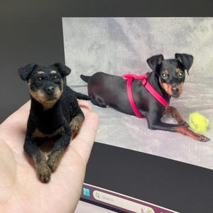 May include: A black and tan miniature dog figurine is held in a hand, with a similar dog on a grey surface in the background. The dog in the background wears a pink harness and has a yellow tennis ball.
