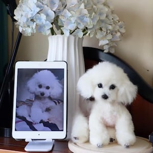Custom Needle Felted Dog Sculpture – Realistic Wool Felt Dog Replica – Personalized Dog Memorial Gift – Stuffed Dog Plush – Gift for Her