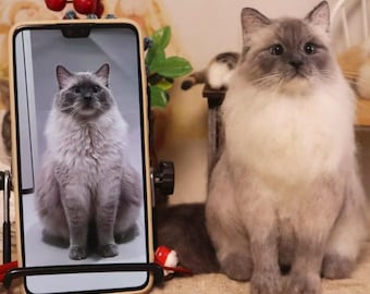 Custom Realistic Felted Cat Figurine, Handmade Cat Sculpture from Photo, Pet Memorial Keepsake