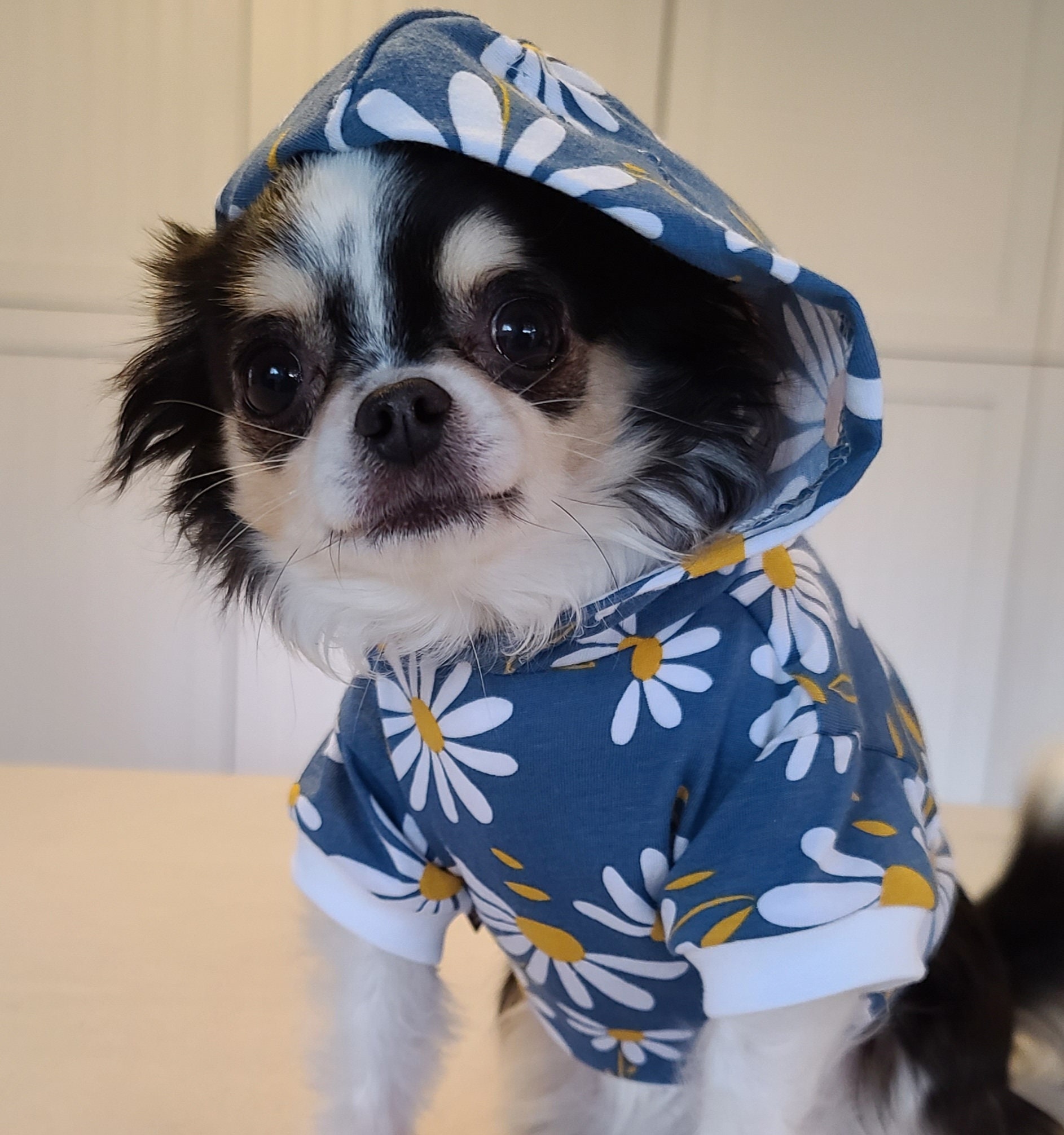 Dog Clothes Blue Daisy Hoodie Small Dog Clothes Chihuahua Etsy