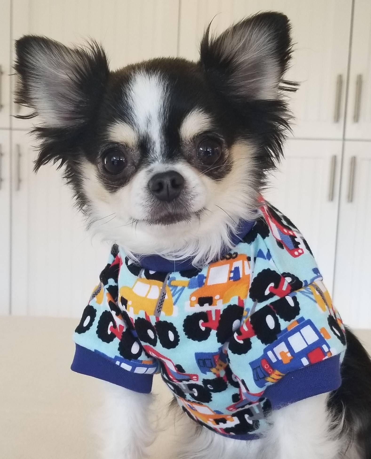 dog sweaters on clearance