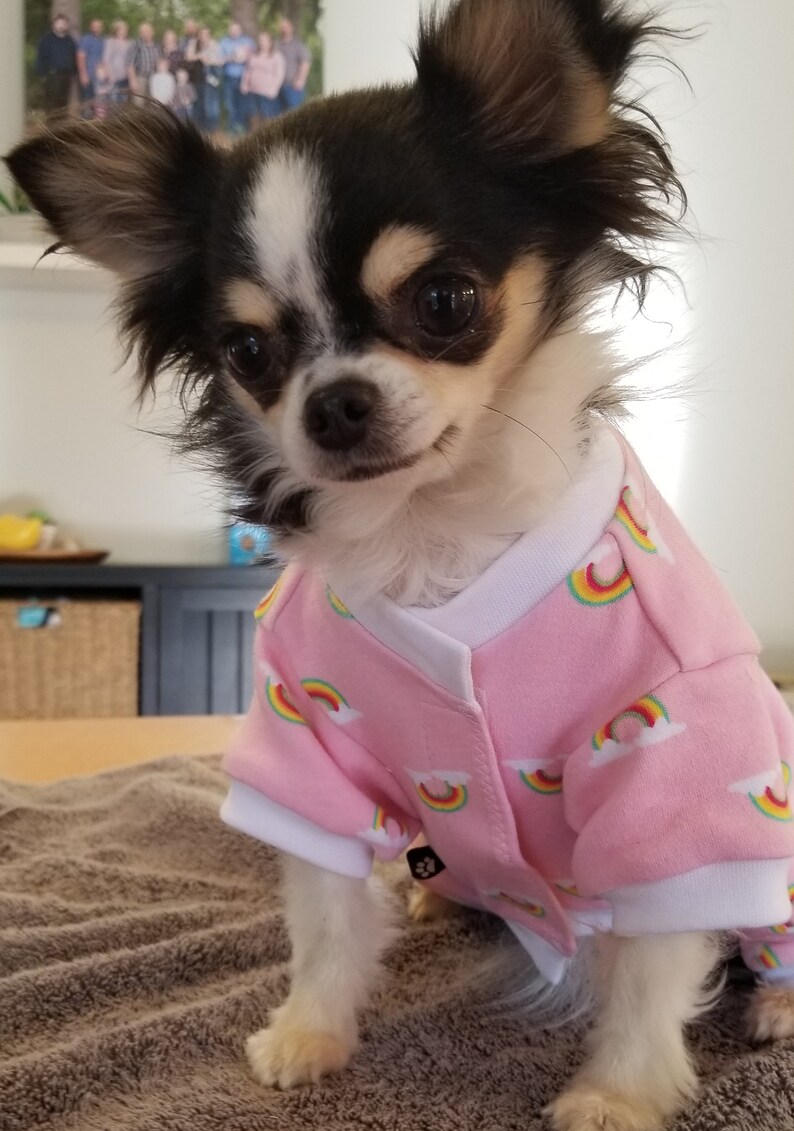 Dog Clothes Rainbow Pajamas Clothes for Small Dogs Etsy