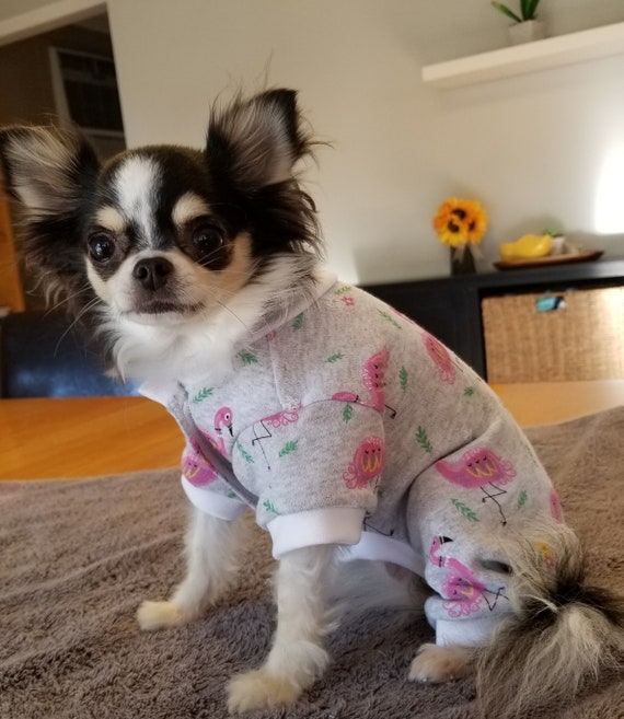 flamingo dog clothes