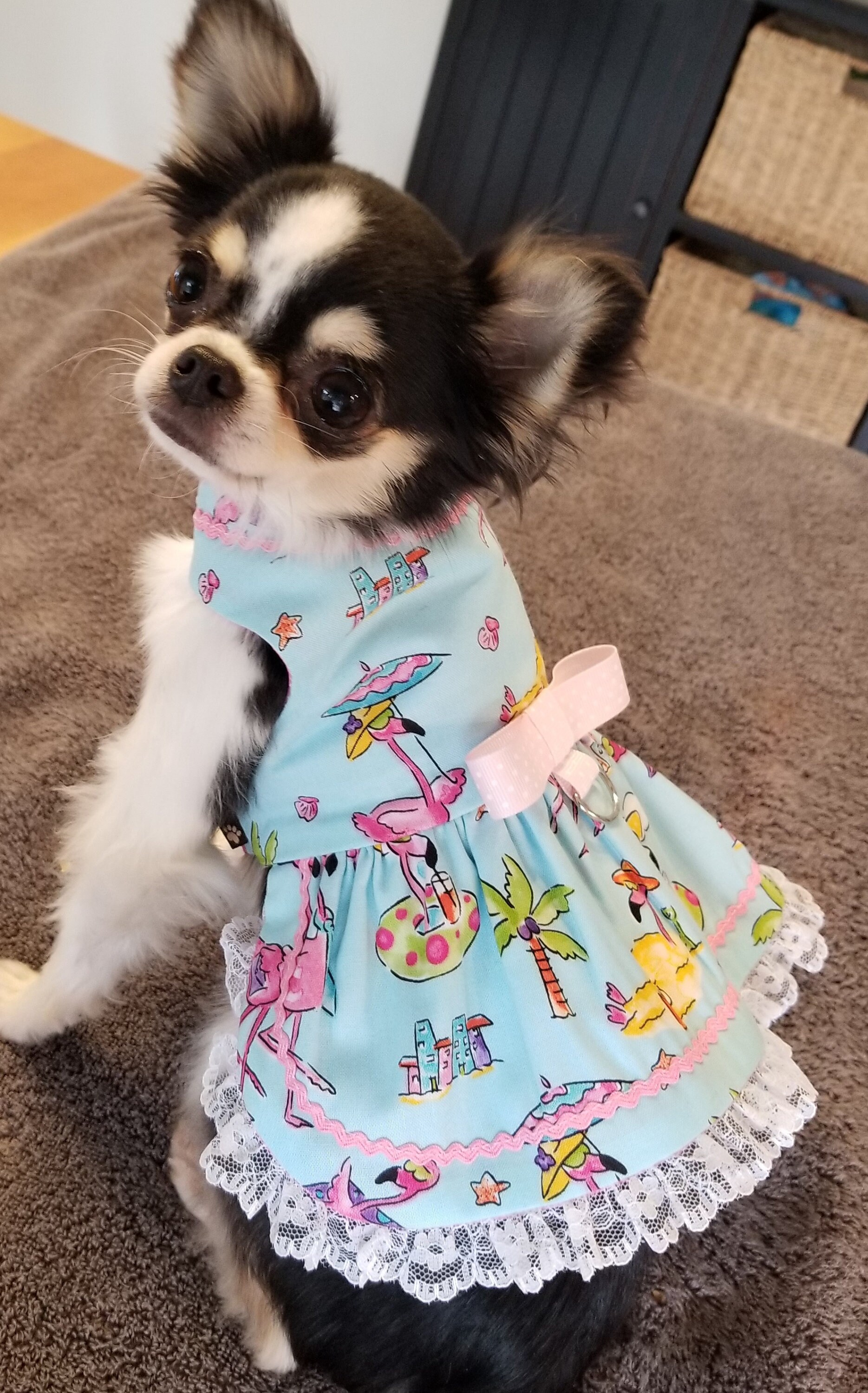 flamingo dog clothes